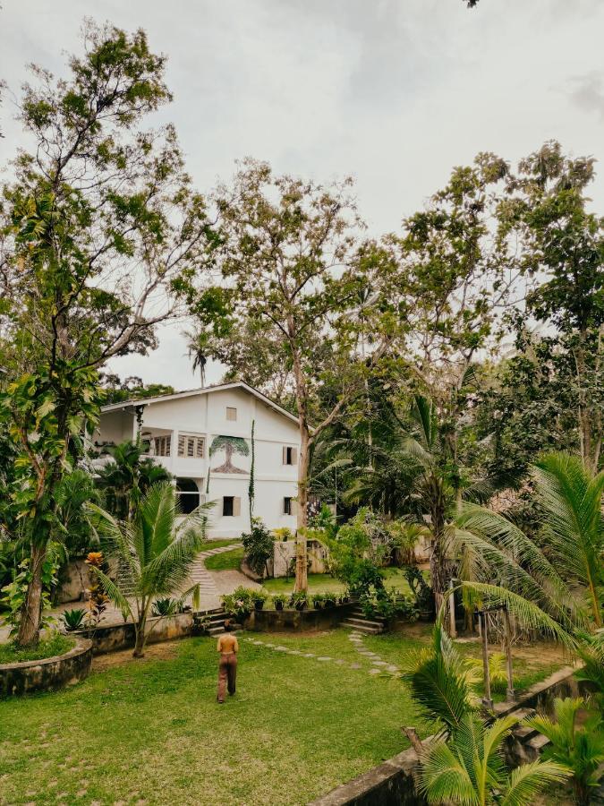 Hotel Kirinuga Boutique Retreat Tangalle Exteriér fotografie