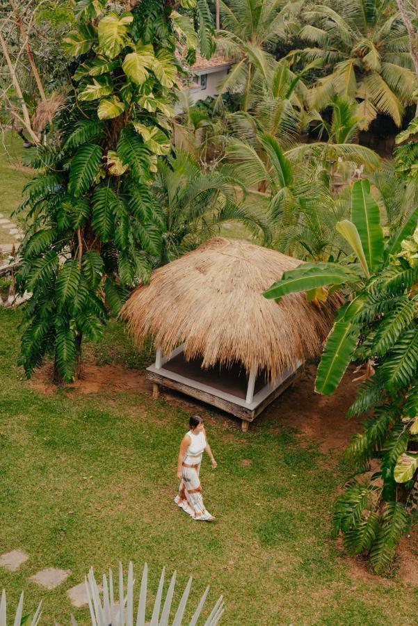 Hotel Kirinuga Boutique Retreat Tangalle Exteriér fotografie